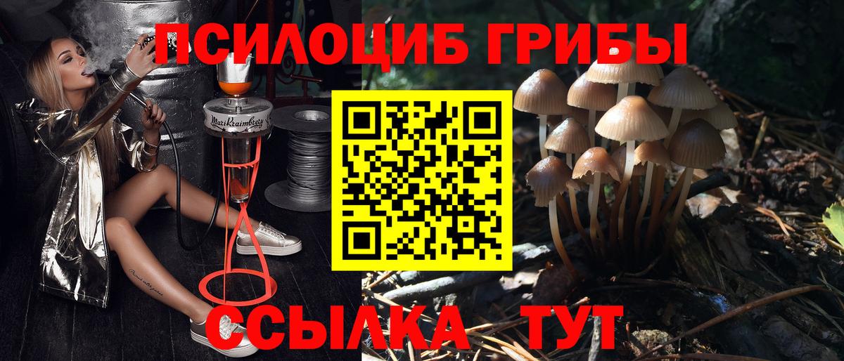 Набережные Челны  Псилоцибиновые грибы мицелий  Галлюциногенные грибы Cubensis  Вход с VPN 